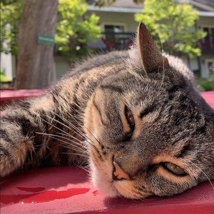 Meet your Posher, Hilary